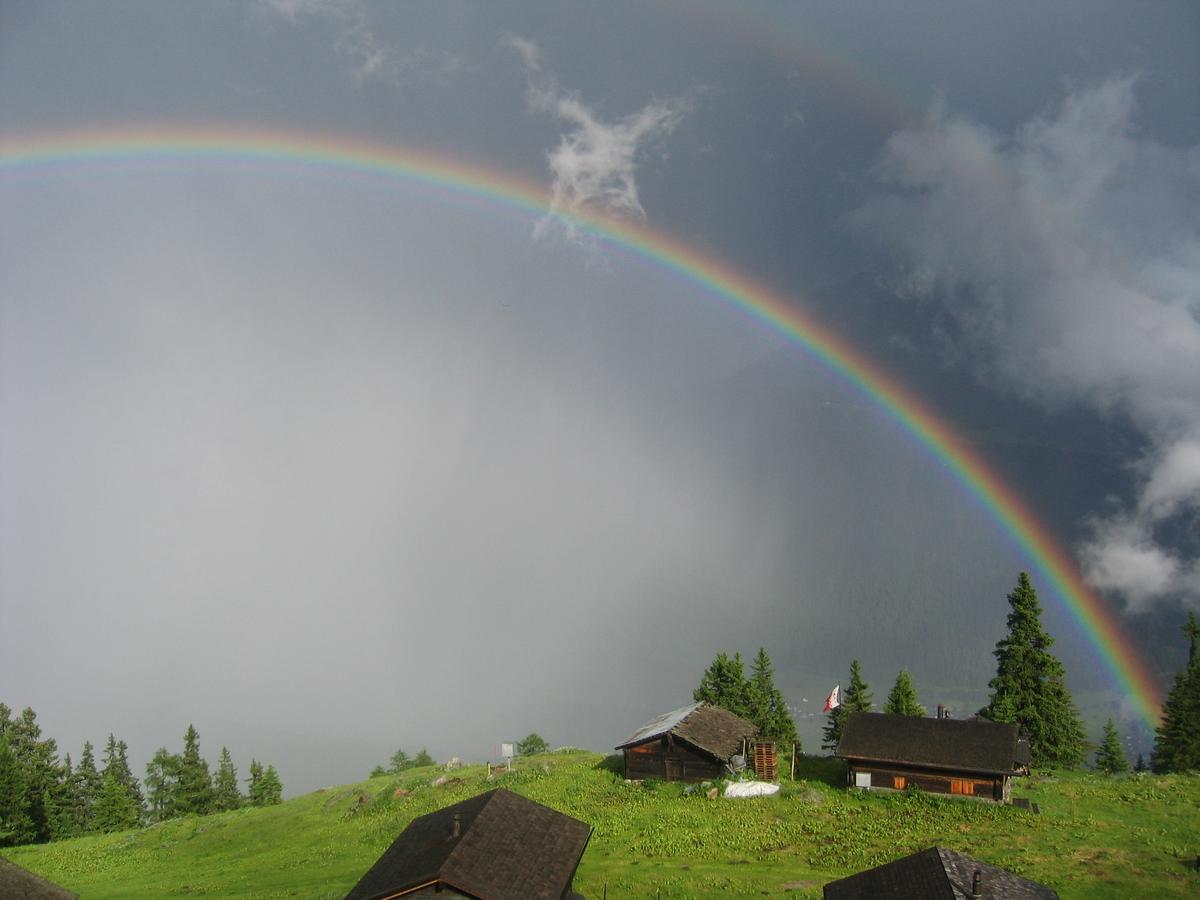 Alphuette Bielerchaeller Villa Fiesch Eksteriør bilde